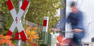 46 Zentimeter lang: die Mini-Schranke in Köln Sie sieht kurios aus - eine Fehlkonstruktion sei die Schranke aber nicht, sagt ein KVB-Sprecher.