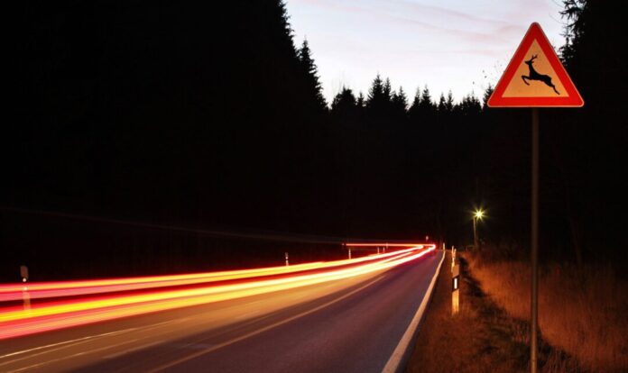 Ein Verkehrsschild warnt vor Wildwechsel an einer Landstraße Wildunfälle häufen sich im Herbst. (Symbolbild)