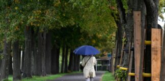 Wetterumschwung bringt Regen und Gewitter nach NRW Immer wieder soll es in den kommenden Tagen regnen. (Symbolbild)