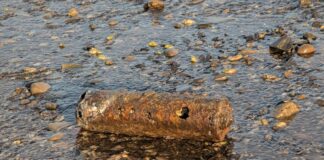 Brandbombe am Rhein – Phosphor entzündet sich Die Munition aus dem Zweiten Weltkrieg war wegen des Niedrigwassers freigelegt worden.
