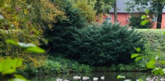 Wolkig bis heiter – ruhiges Herbstwetter in NRW Trockenes, aber mitunter grau-trübes Wetter erwartet die Menschen in Nordrhein-Westfalen in den kommenden Tagen. (Symbolbild)