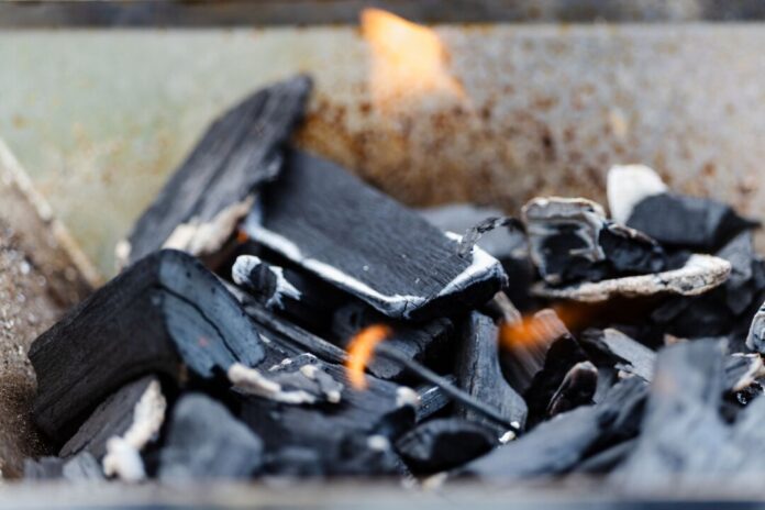 Holzkohle Das Land NRW will künftig den Geruch von Holzkohlegrills messen. (Symbolbild)
