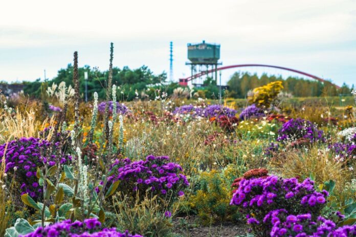 Wochenende der Gartenschauen in NRW Erste Blumen und Beete sind auf dem Gelände der Internationalen Gartenausstellung 2027 (IGA) im Rheinpark Duisburg zu sehen.