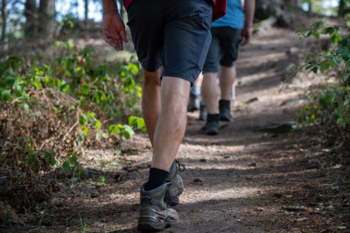 Wandern im Herbst Die Liste der Wanderbahnhöfe in NRW wird länger. (Symbolbild)